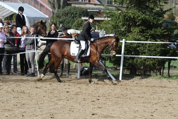 Bild 1033 - WBO-Turnier am 9.4.11